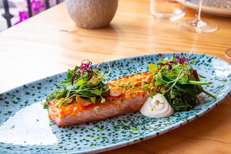 Grilled Salmon - La Terraza Restaurant