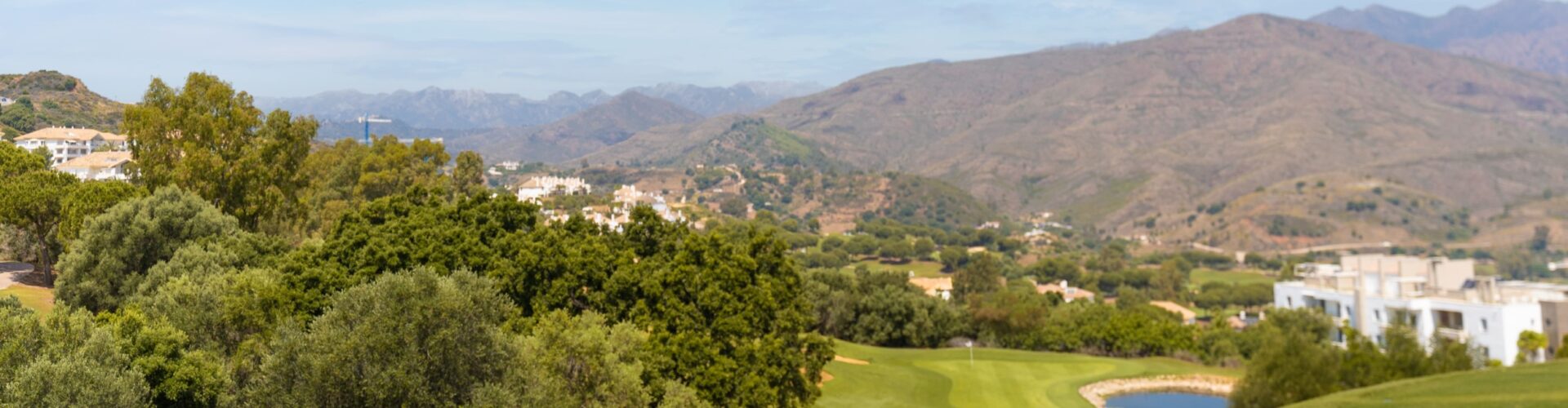 Campo Asia - Image 4