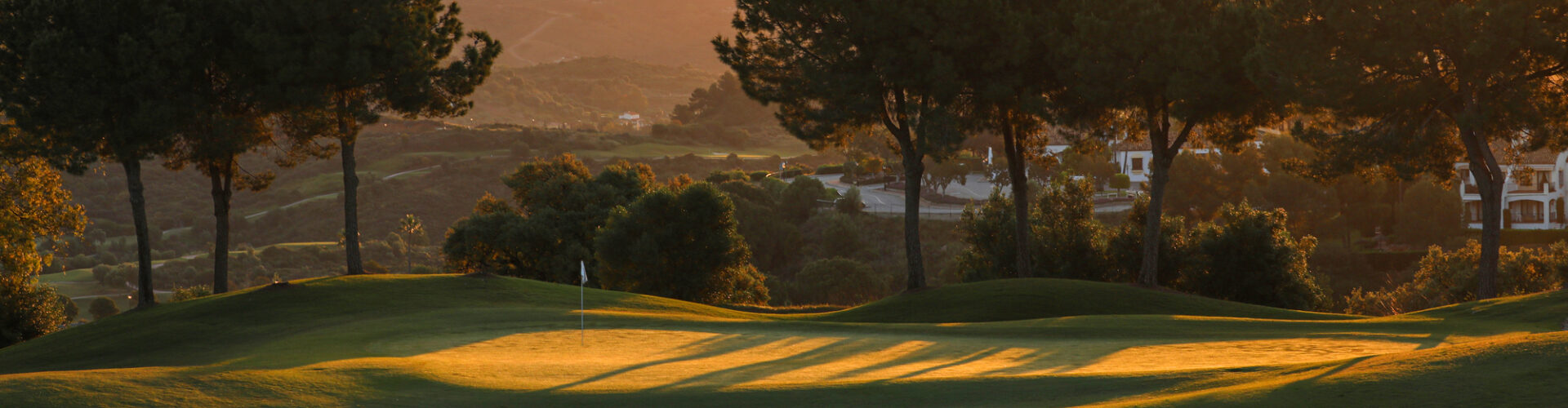 Campo Asia - Image 2